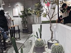 -莓超疯