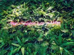 -腾爱熊猫咖啡生活馆(老东门店)