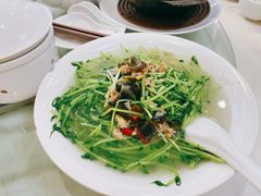 上汤菜苗-清心鸡沙田乳鸽店·非遗传承(粤垦路店)