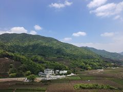 -龙坞茶村