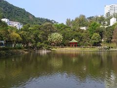 -大埔公路-马料水段香港中文大学(公交站)