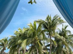 -海南清水湾莱佛士酒店