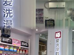 -爱洗澡的猫(望京店)
