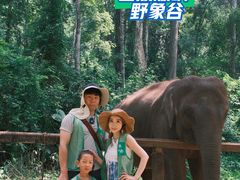 -野象谷景区