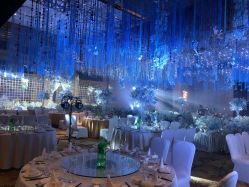 -成都世外桃源酒店-宴会厅·草坪婚礼·会议活动