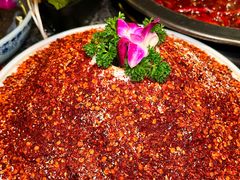 -蜀大侠火锅(总府路店)