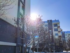 -付小姐在成都(五道口店)