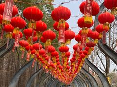 -武汉园博园(武汉自然博物馆)