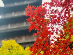 -常熟方塔园
