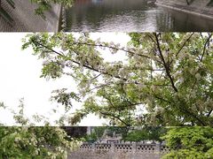 -浆木咖啡馆(湘子庙街店)