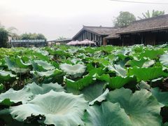 景观位-莫催咖啡