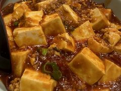 -峨嵋一派