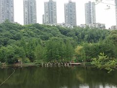 -重庆彩云湖湿地公园