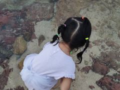 -杨梅坑