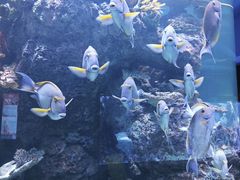 -成都浩海立方海洋公园