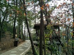 -仙岳公园