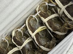 -阳澄湖大闸蟹·琼灵阁牌品牌连锁(吴中总店)