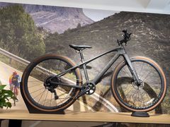 -TREK崔克自行车(碧云店)