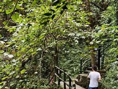 -宁波五龙潭景区