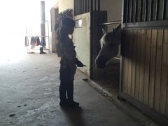 -松声马术俱乐部