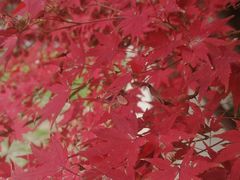 -苏州吴中太湖旅游区