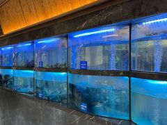-三只耳冷锅鱼火锅(玉林店)