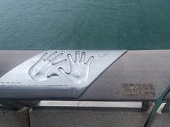 -海港城