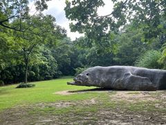 -吴淞炮台湾湿地森林公园烧烤区