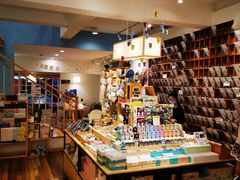 零售区-猫的天空之城概念书店(束河店)
