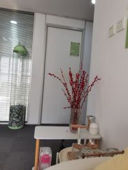 -凡碧诗毛孔清洁收细