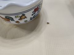 -周记茗点居(西村店)