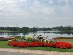 -武汉园博园(武汉自然博物馆)