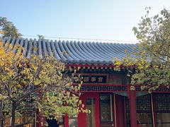 -宫事颐庭·老佛爷贵寿下午茶(颐和园店)