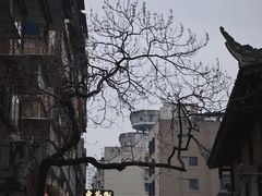 -東茅街茶馆