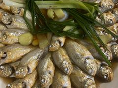 野生小黄鱼-江南村海鲜馆(洞头店)