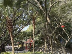 -云洞岩风景区