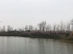 -白鹭湾湿地公园