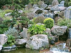 -东莞植物园