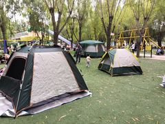 -北戴河集发农业梦想王国