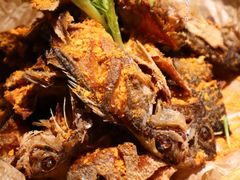 现烤小海鱼-匠子烤鱼(上邦百汇城店)