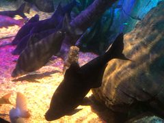 -沈阳海洋探索中心