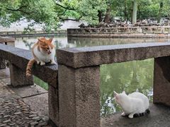-西园戒幢律寺
