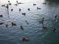 -朝阳公园游乐园