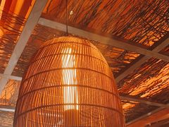 -芸鲜季·云南野生菌餐厅· 云南风物味研社(闵行店)