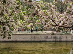 -元大都城垣遗址公园