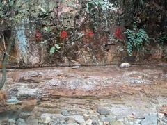 -北仑森林植物园