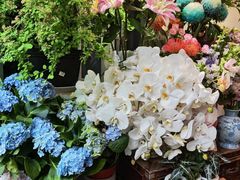 -雕刻时光咖啡馆(北师大店)