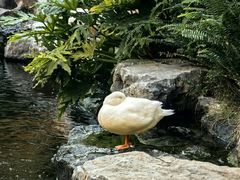 -顺德渔村·岭南一号