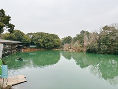 -张鸟园农家乐(张鸟园店)