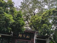 -柳侯公园